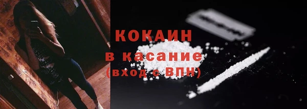 соль ск Абаза