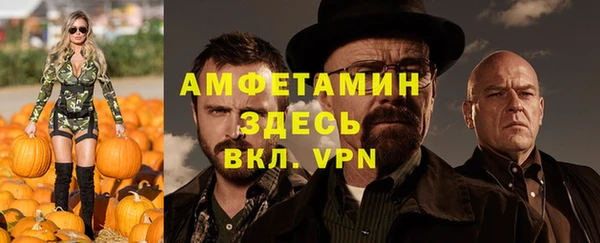 соль ск Абаза